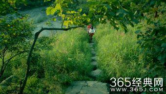 神灵寨电影在线观看,神秘古寨的奇幻之旅